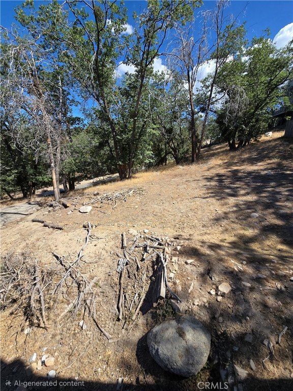 Picture 3