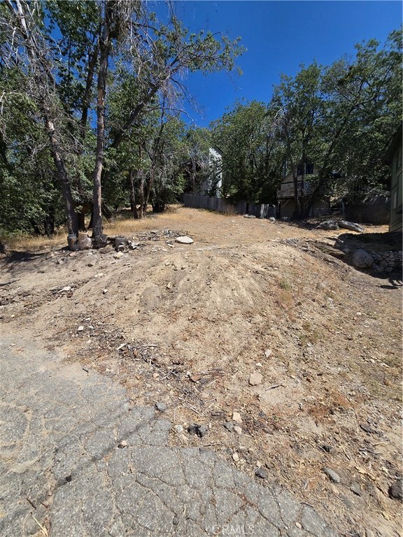 Picture 2