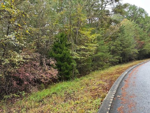Dunlap, TN Wooded Lot