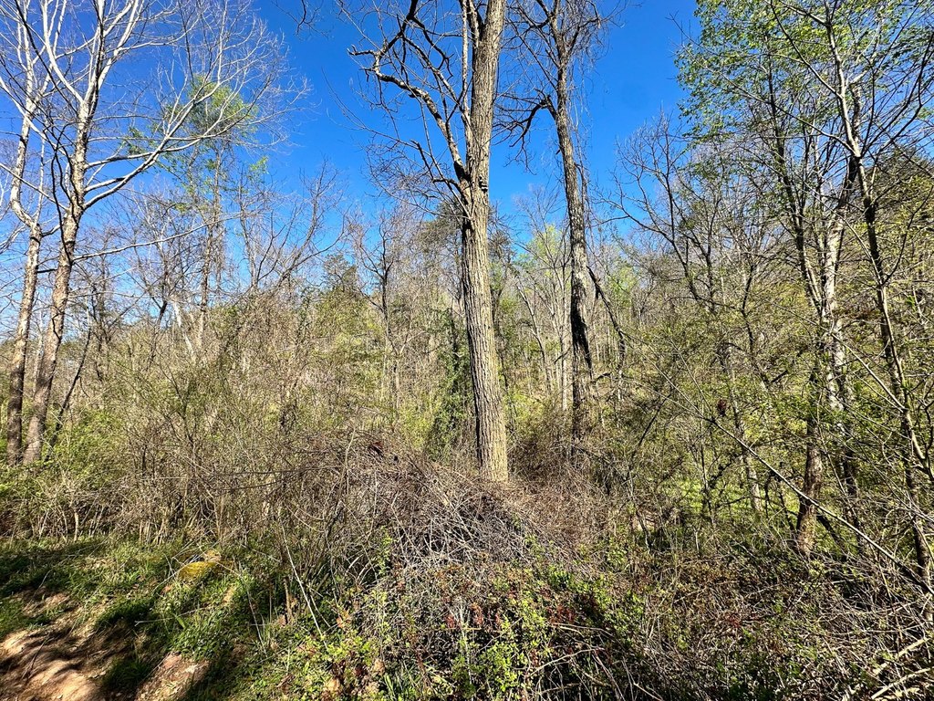 Picture 30