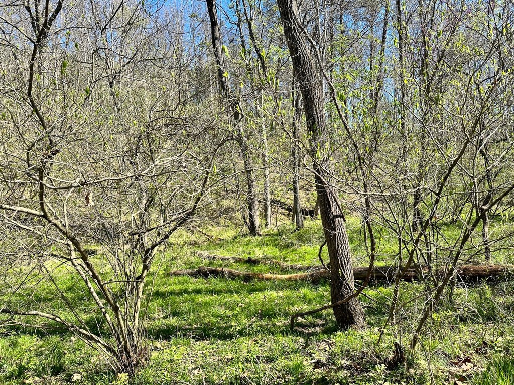 Picture 19