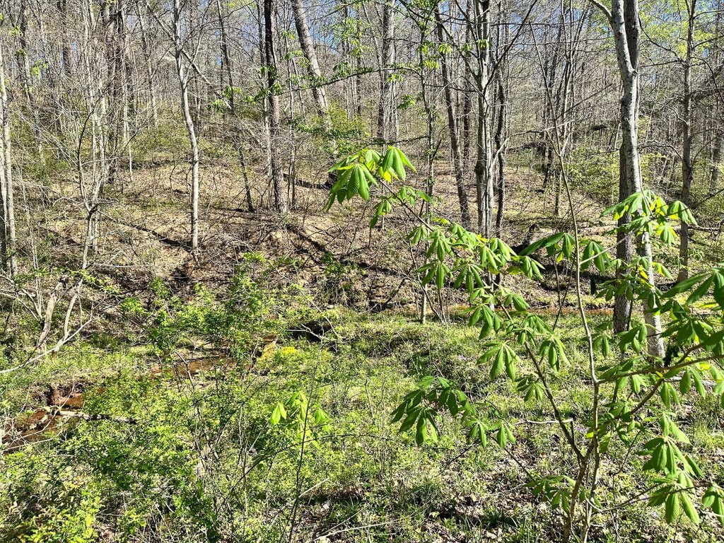 Picture 28