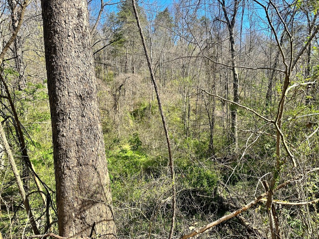 Picture 24