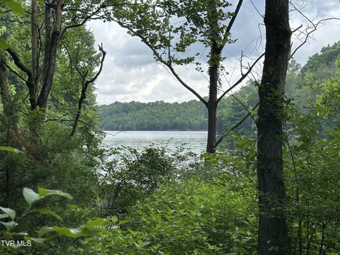 Piney Flats Land with View