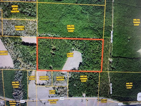 82 Acres Timberland in Hampton