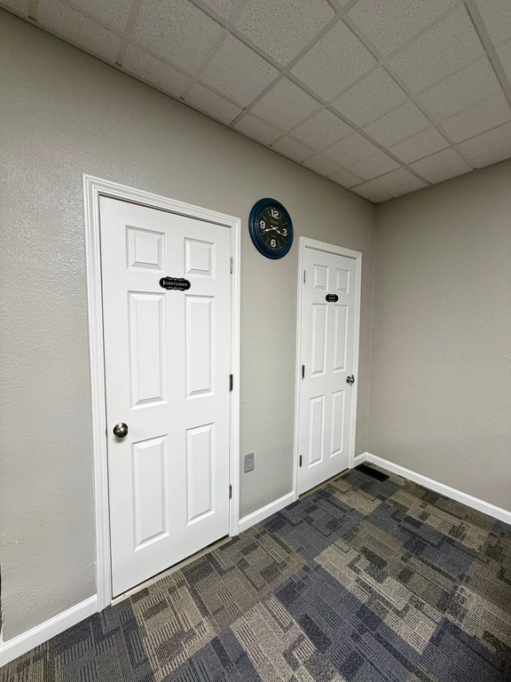Picture 37