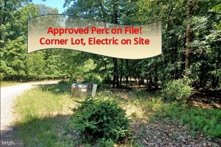 Serene Wooded Land in Paw Paw