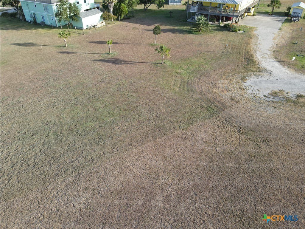 Picture 5