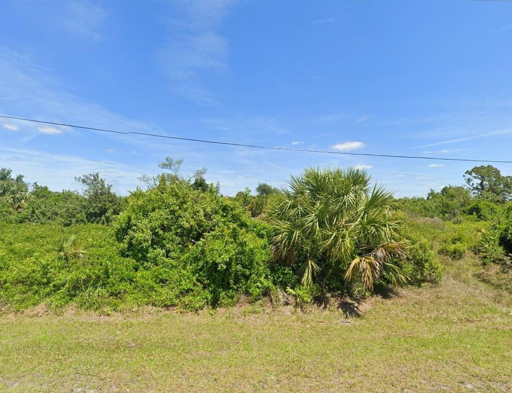 Picture 6