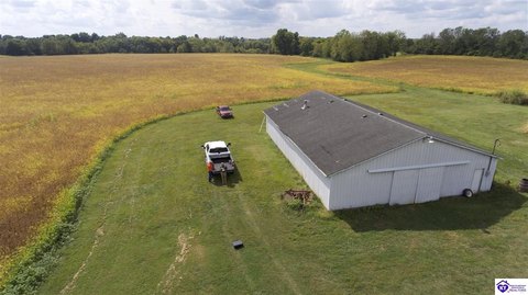Bardstown Acreage: Cropland and Woods