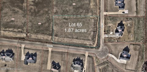 LAND - Hernando, MS