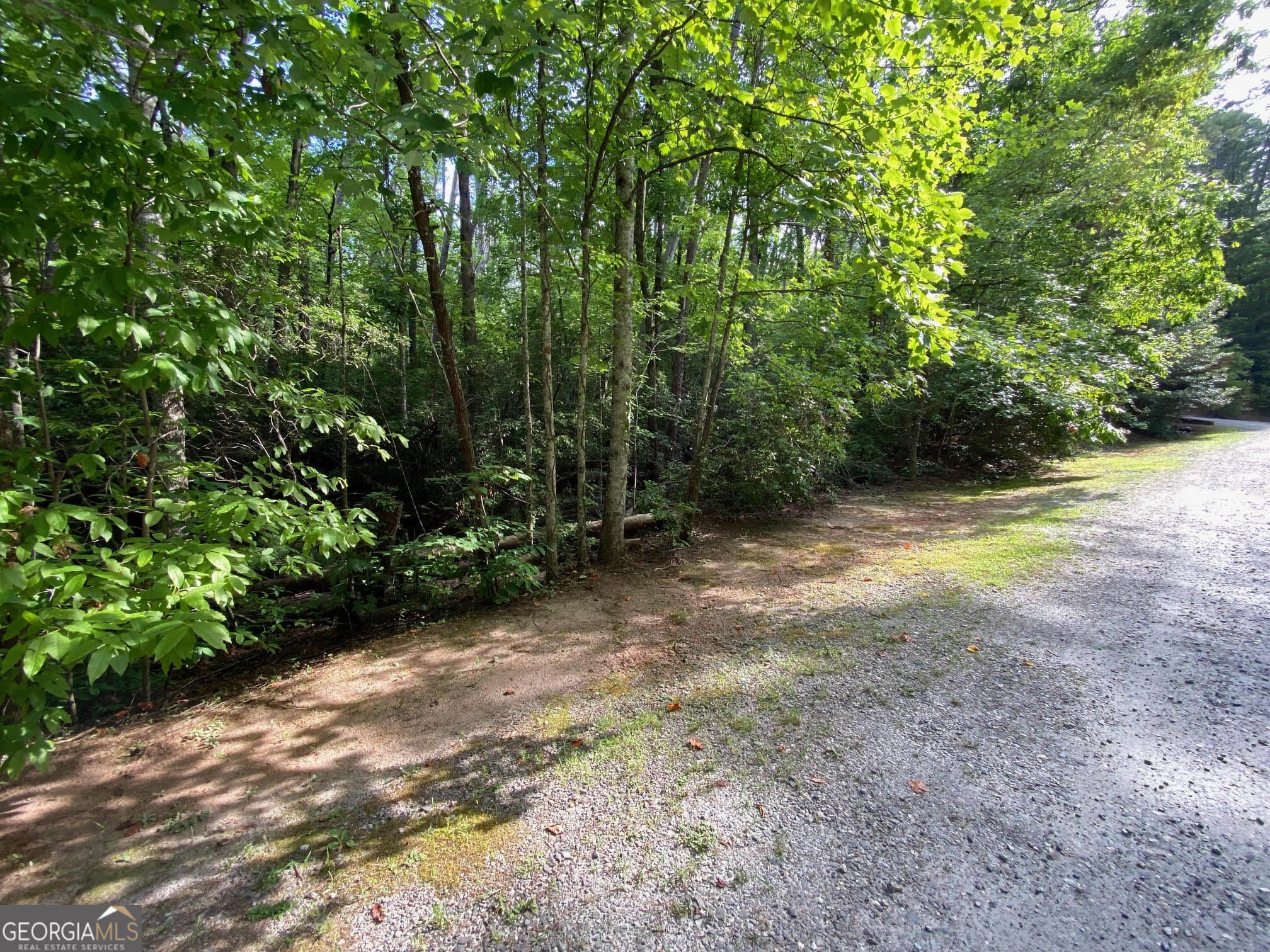 Land in Sautee Nacoochee