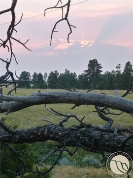 40+ Acres in Bull Mountains