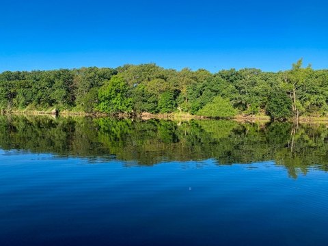Lake-Front Waterfront Land