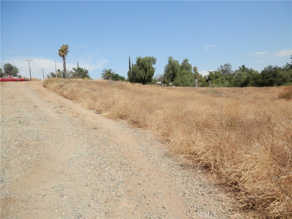 Picture 4