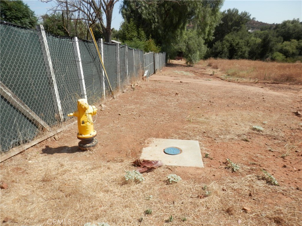 Picture 2