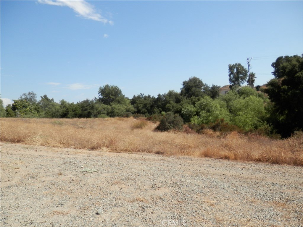 Picture 14