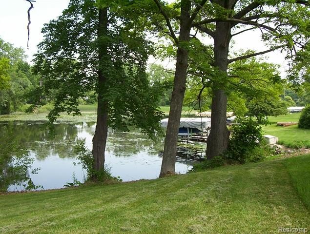 Picture 8