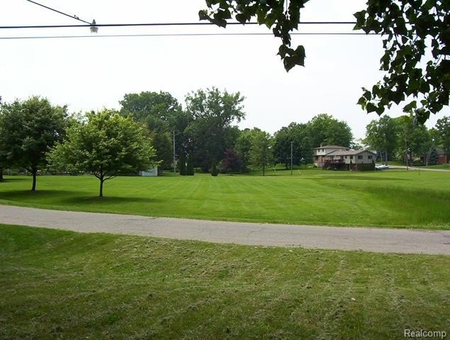 Picture 5