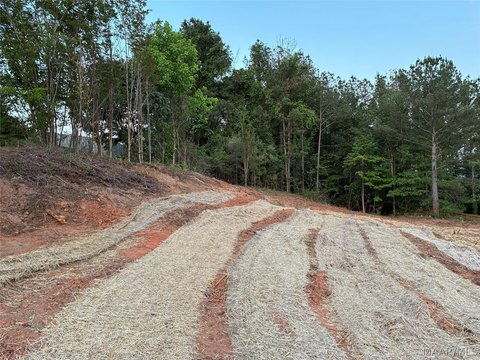 LAND - Wetumpka, AL