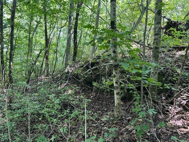 Picture 18