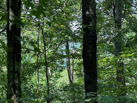 Land, Wilder, TN