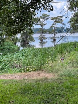 Lakefront Land on Lake St. John