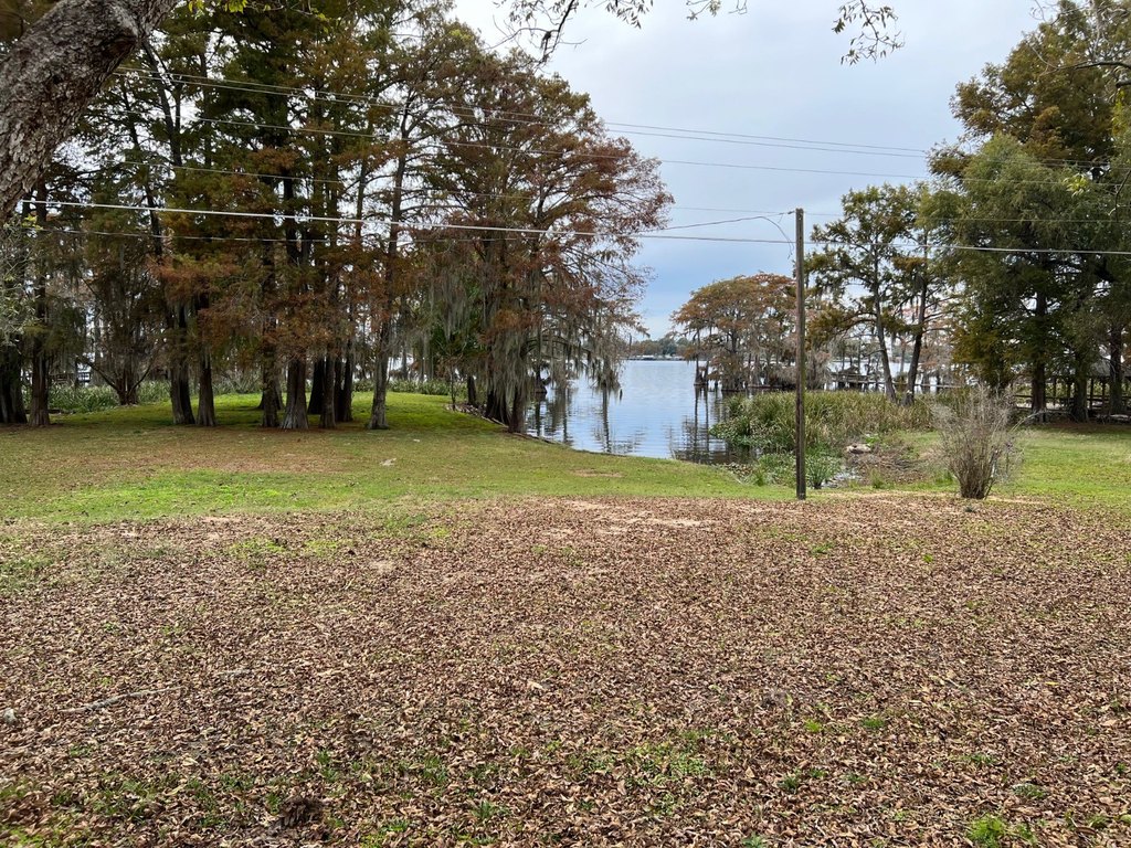 Picture 5