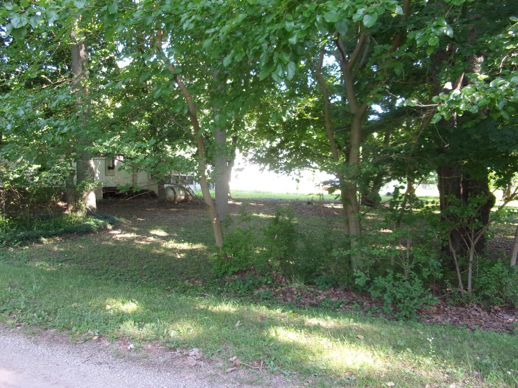 Picture 2