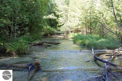 LAND - MAPLE CITY, MI