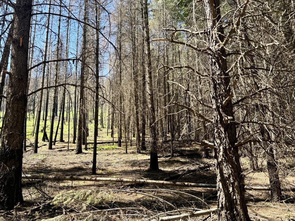 Picture 16