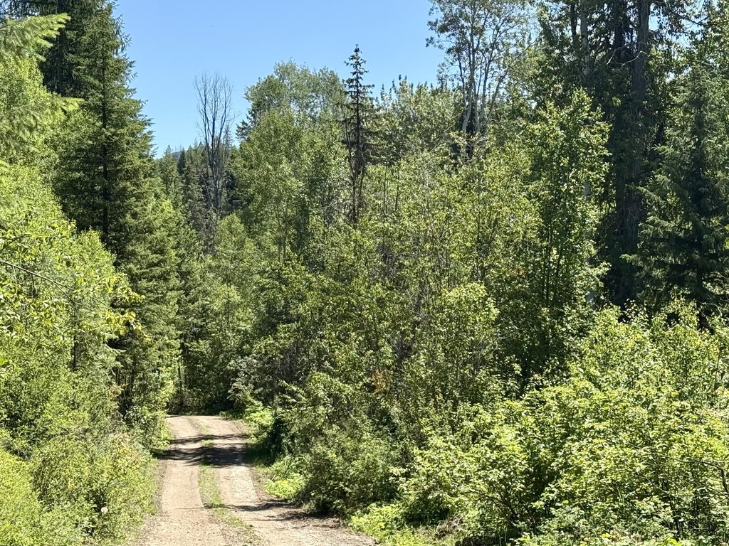 Picture 25