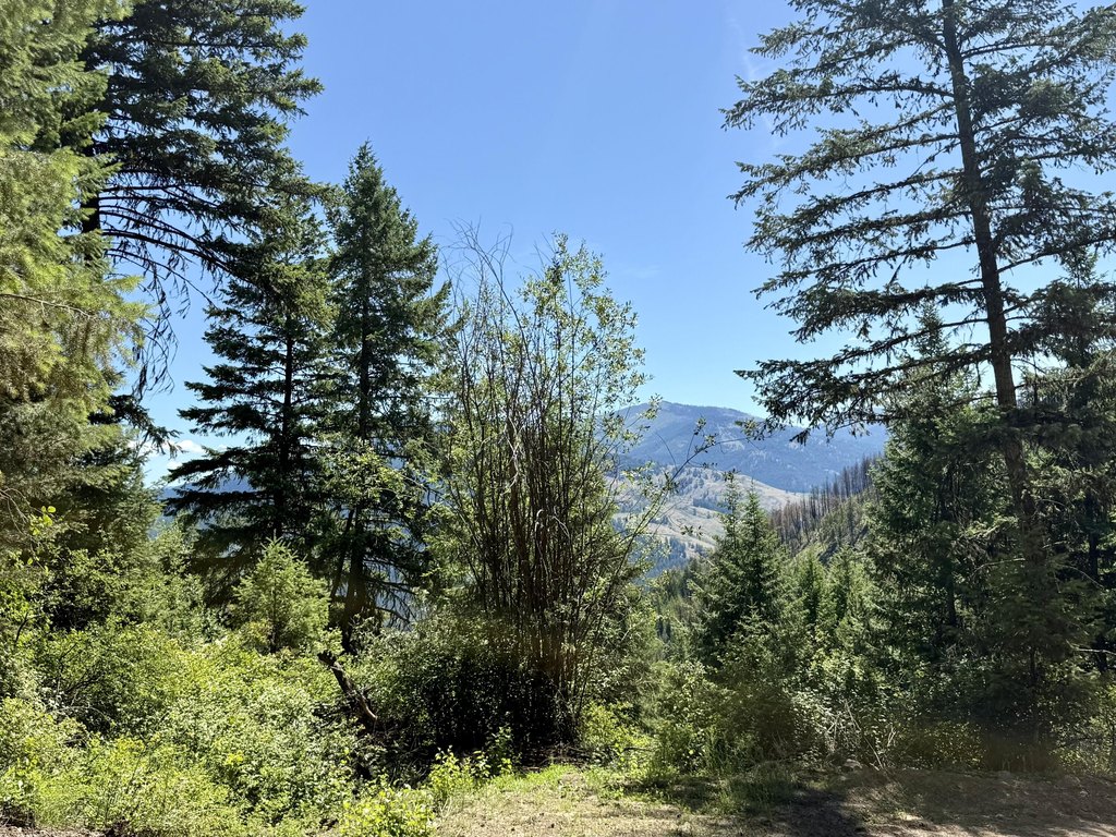 Picture 23