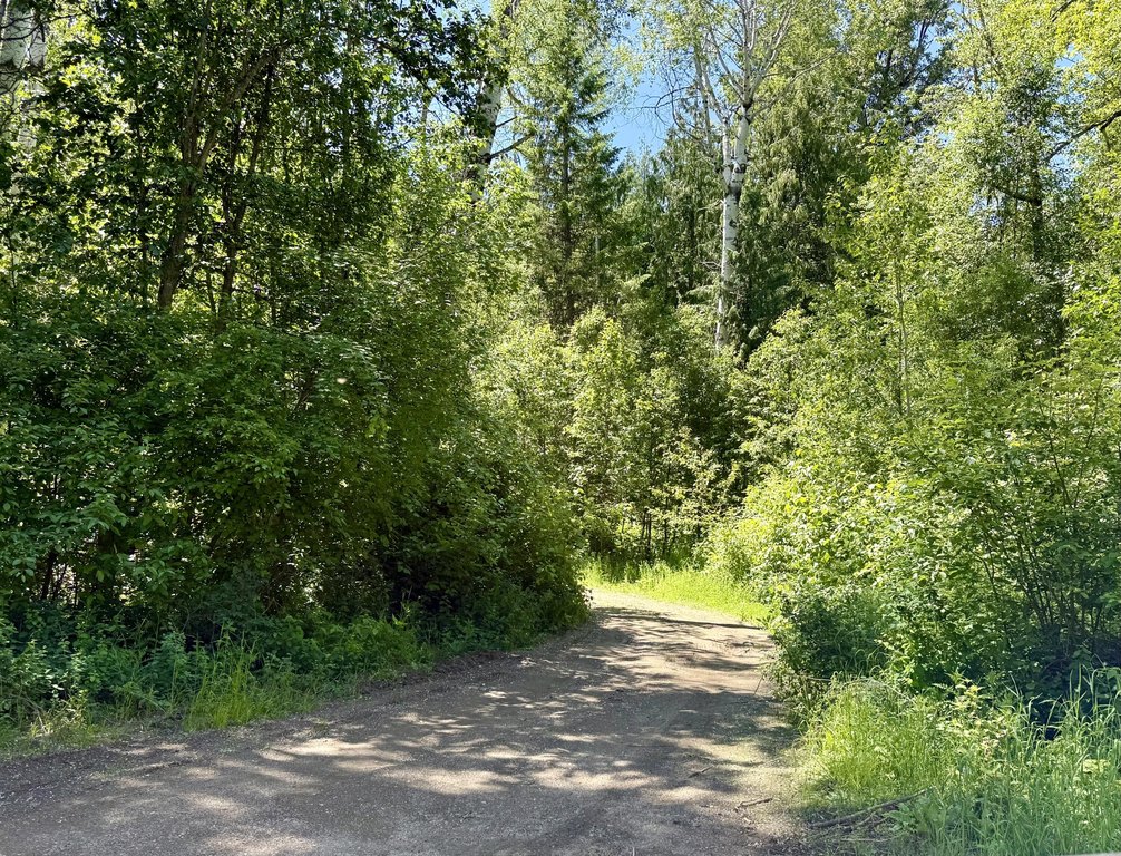 Picture 24