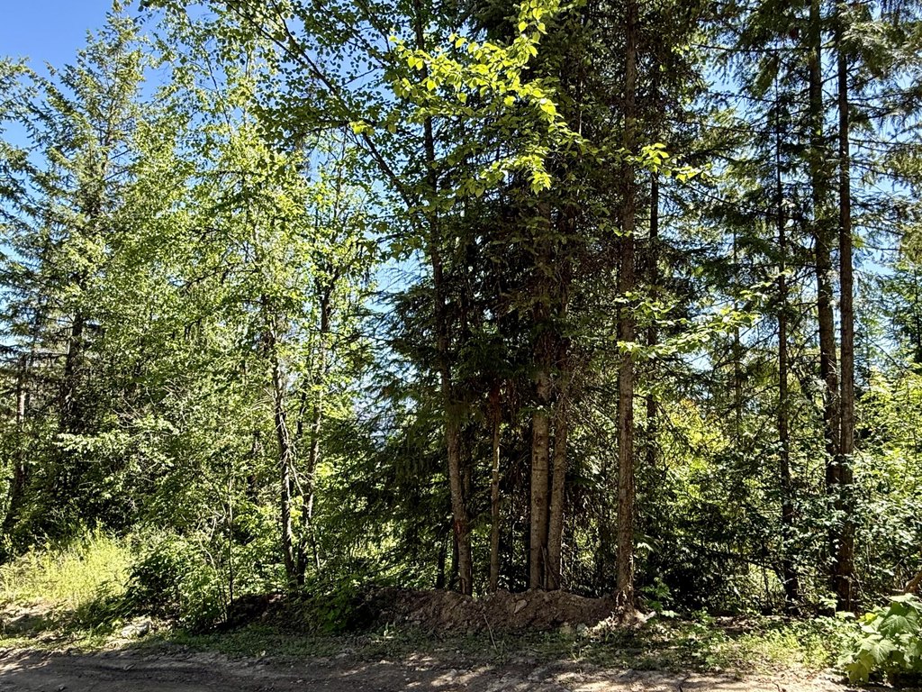 Picture 20