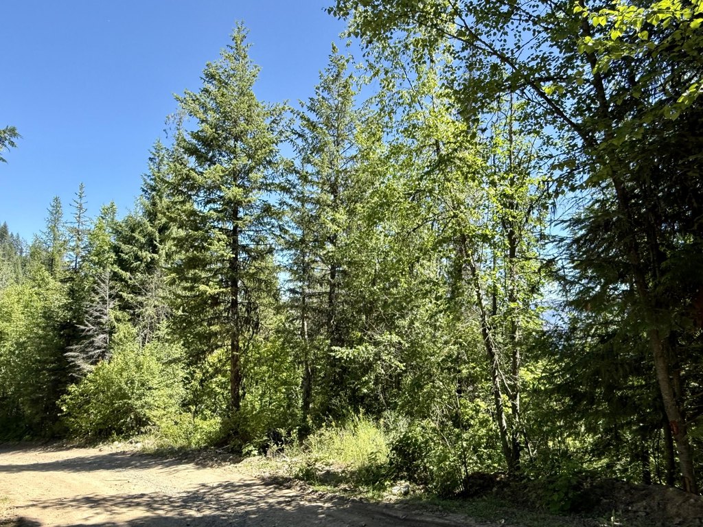 Picture 19