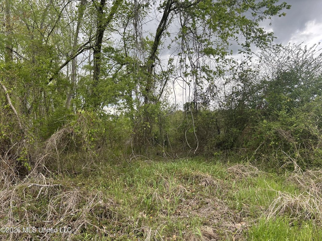 Picture 12