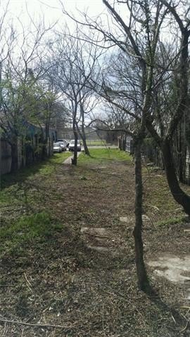 Picture 3