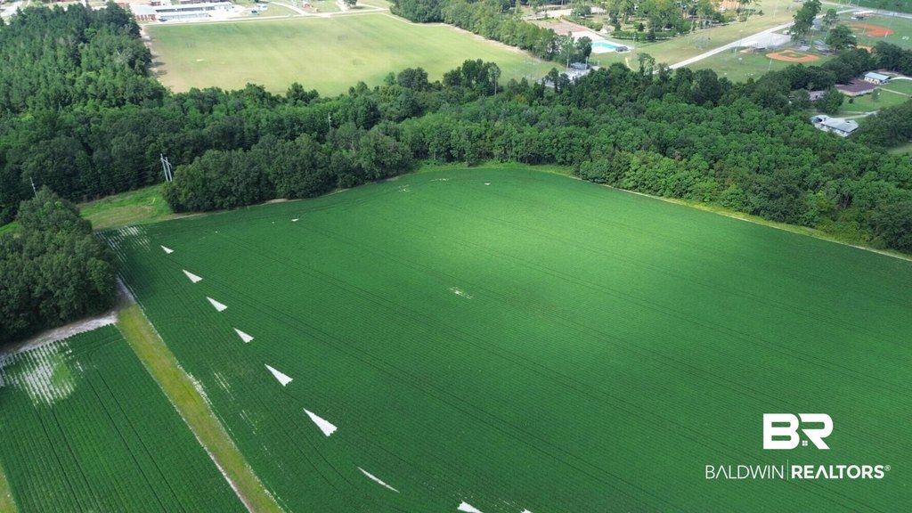 Picture 27