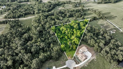 Wooded Buildable Land Lot