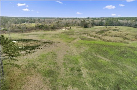 Lush Pasture Land For Sale