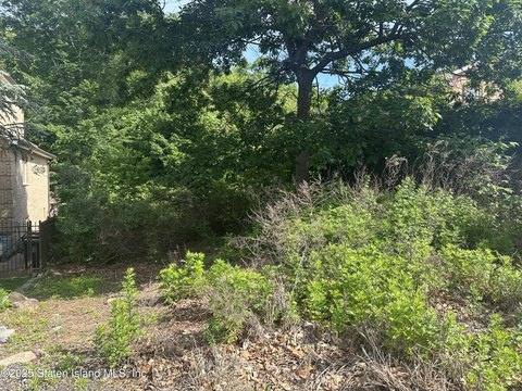 Residential Lot in Annadale