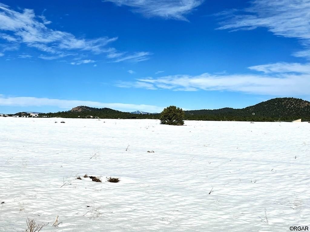 Picture 26