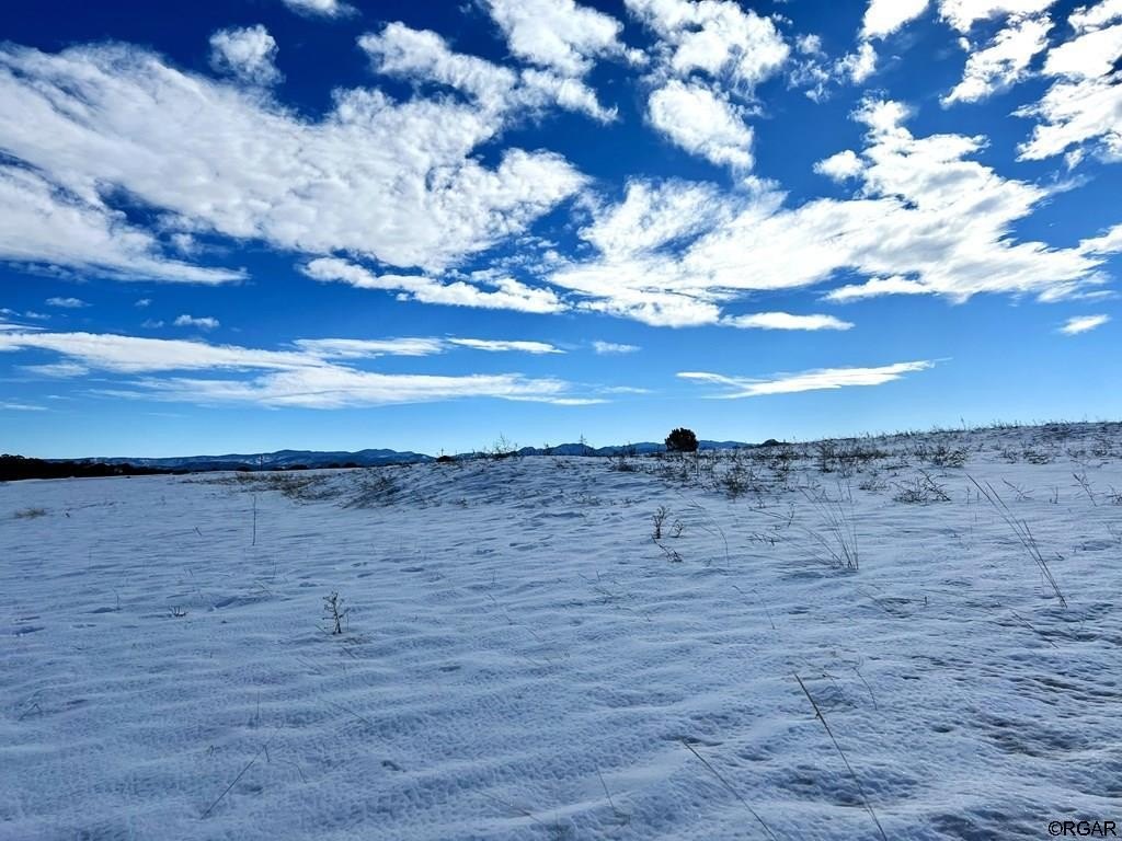 Picture 21