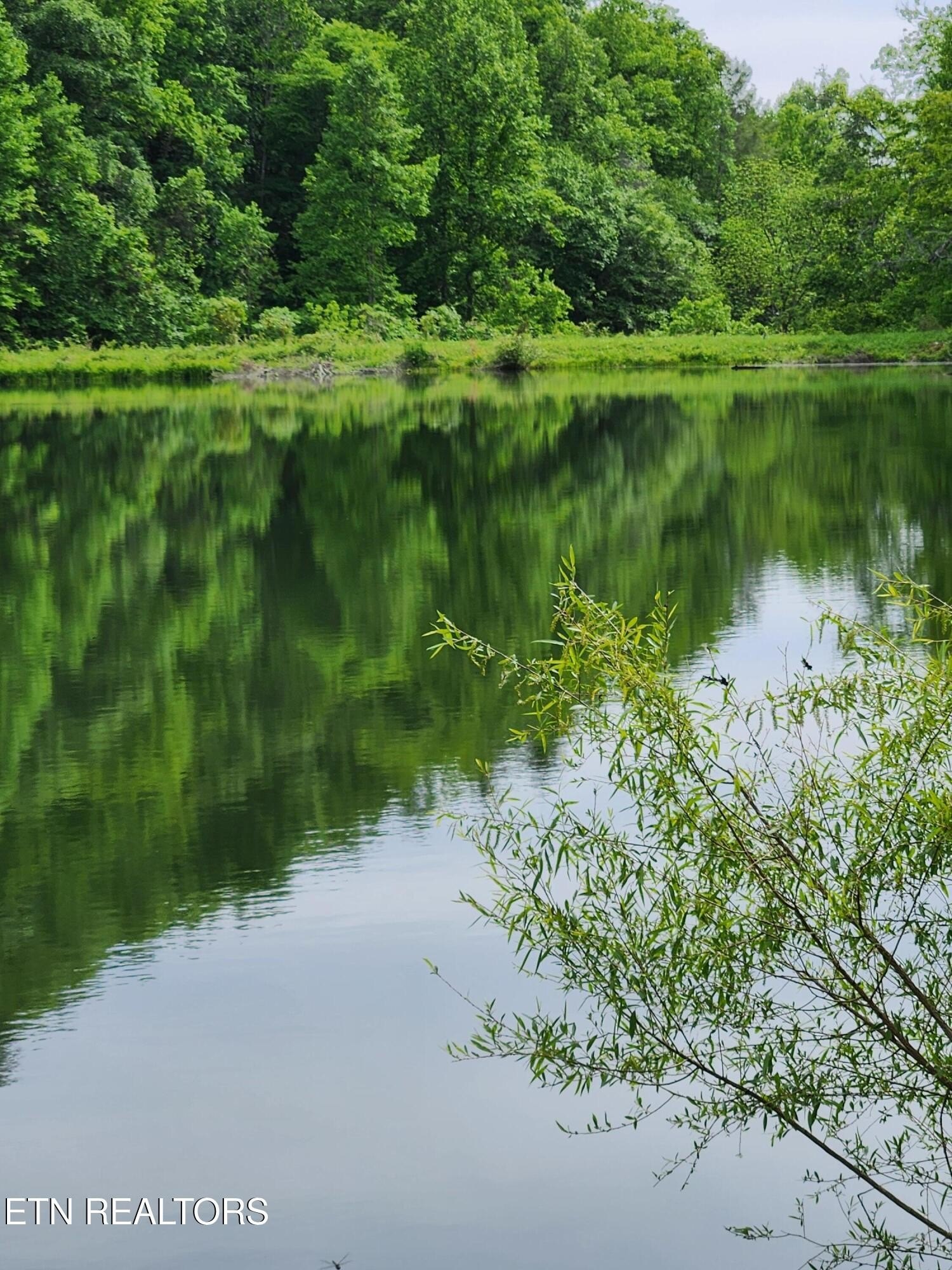 Land in Tellico Plains, TN