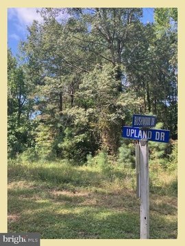 Land, BUSHWOOD, MD