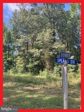 Land, BUSHWOOD, MD