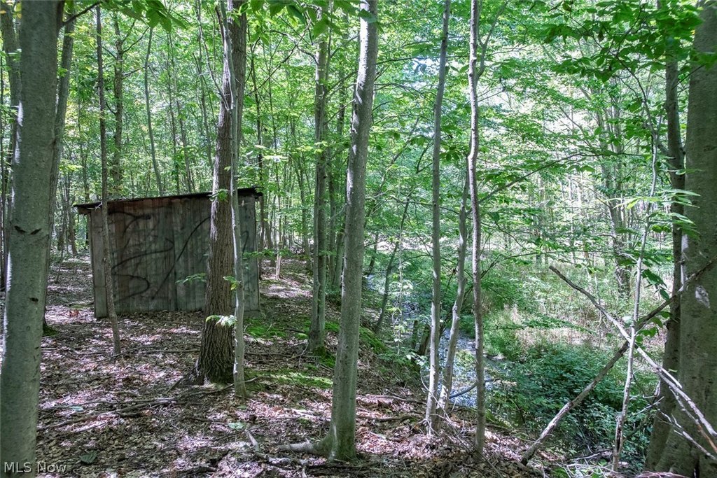 Picture 9
