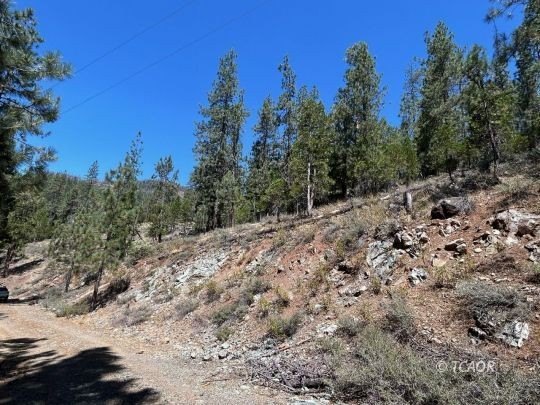 Coffee Creek Land with Views