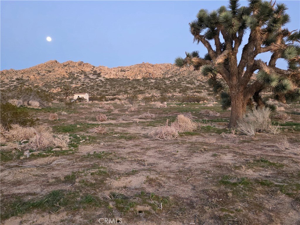 Picture 16